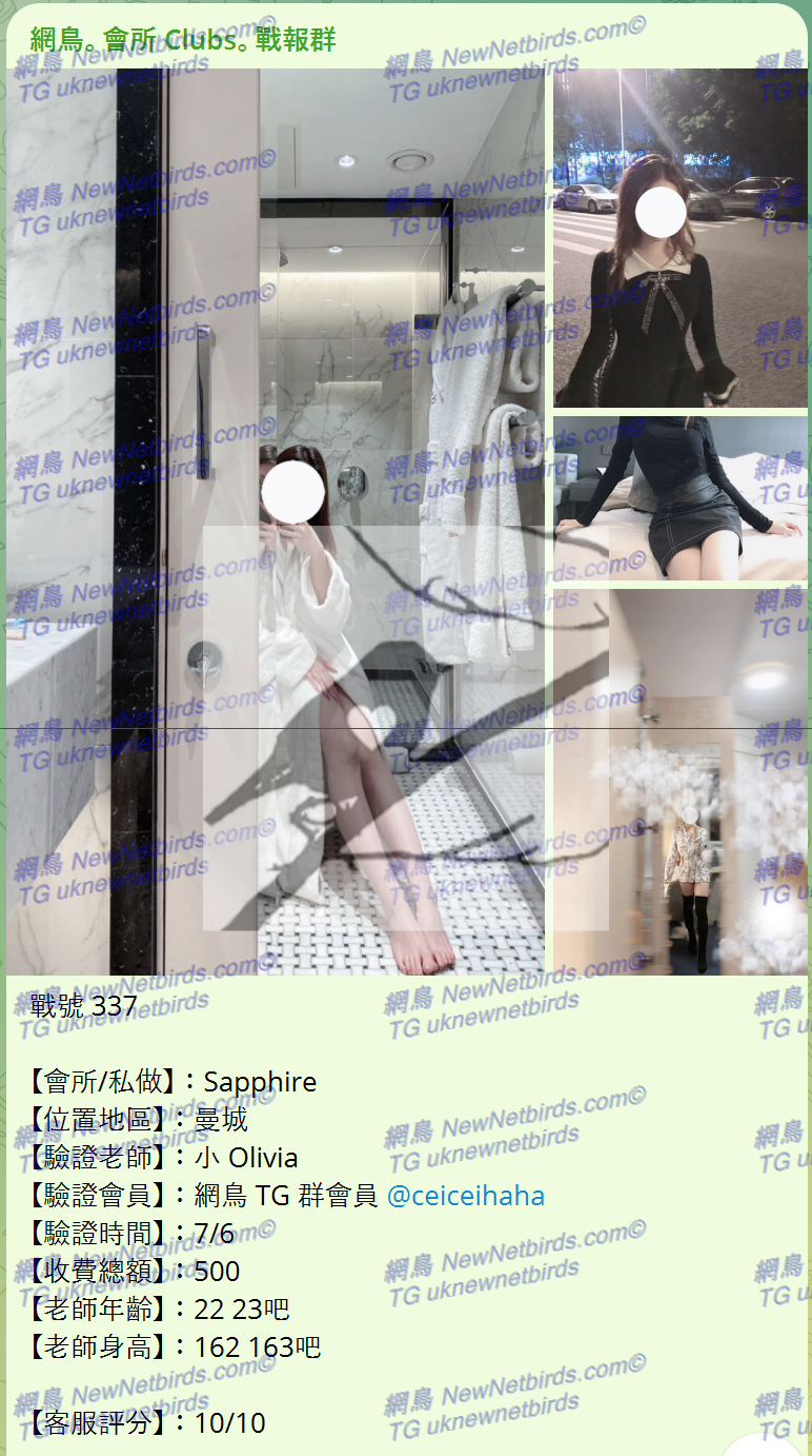 戰號 337 1.png